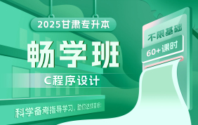 2025甘肃专升本畅学班（C程序设计）