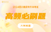 【电子题库】2024四川专升本高频必刷题（英语）