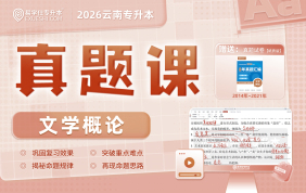 2026云南专升本真题课（文学概论）