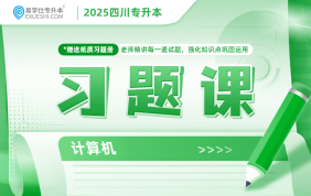 2025四川專升本習(xí)題課（計(jì)算機(jī)）