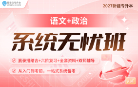 2027新疆專升本系統無憂班（語文+政治）