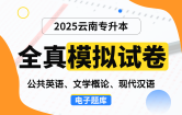 【云南电子题库】2025云南专升本全真模拟试卷（公共英语、文学概论、现代汉语）