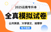 【云南电子题库】2025云南专升本全真模拟试卷（公共英语、大学语文、地理学）