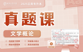 2025云南專升本真題課（文學(xué)概論）