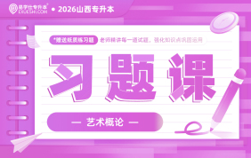 2026山西专升本习题课（艺术概论）