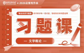 2026云南专升本习题课（文学概论）