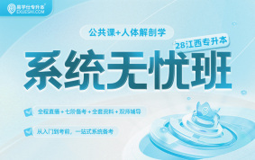 2028江西专升本系统无忧班【人体解剖学+公共课】