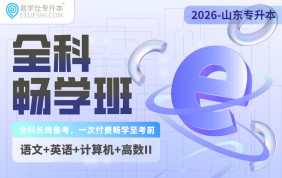 2028山东专升本全科畅学班（大学语文+大学英语+计算机+高等数学二）