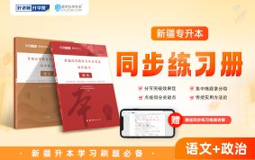 正版新疆专升本同步练习册（语文+政治）